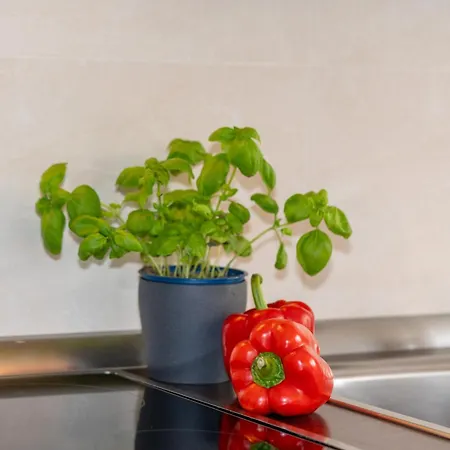 Gruental 8, Whg 2 Appartement Grömitz